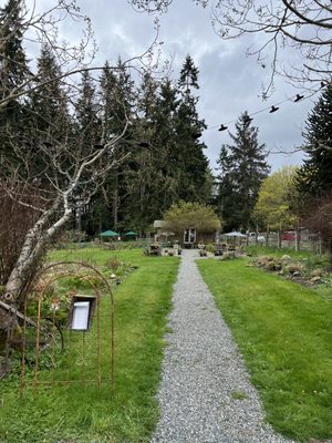 Chocolate Flower Farm