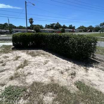 Smooth Edge - Grooming of bushes - Lawn Services Near Me