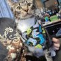 Kritter Kreations Pet Salon