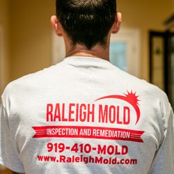 Raleigh Mold Inspection and Remediation