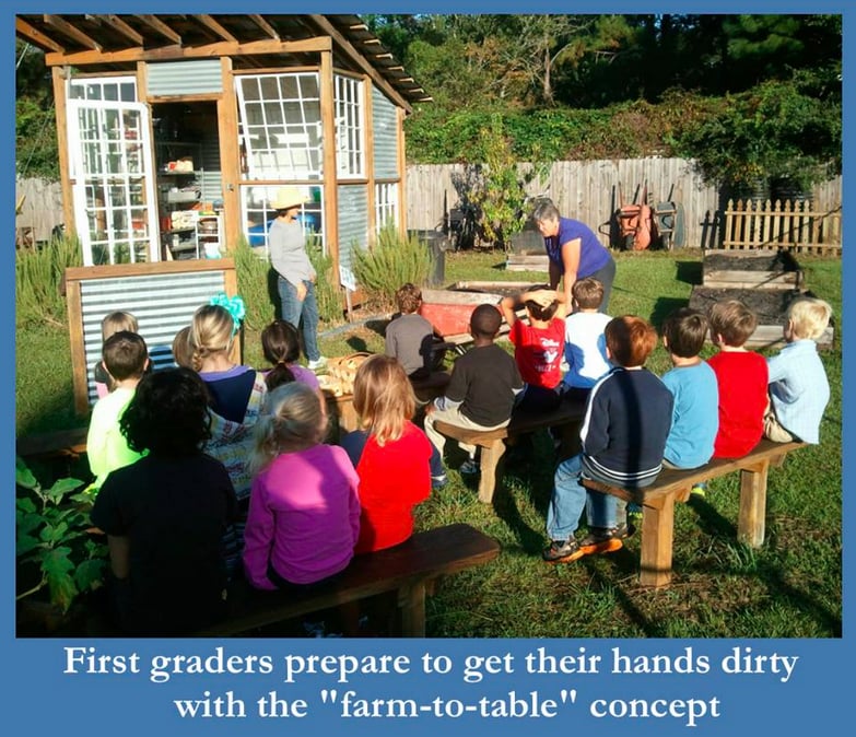 St. Andrew's School - social services organization in Savannah, GA
