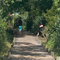 Corolla Water Sports - View of the path on the way back. It's a long boardwalk, but I'm grateful there were a few spots for our senior family members to rest