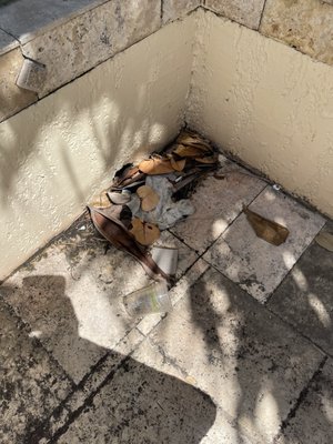 Carambola Beach Resort St. Croix, US Virgin Islands by null