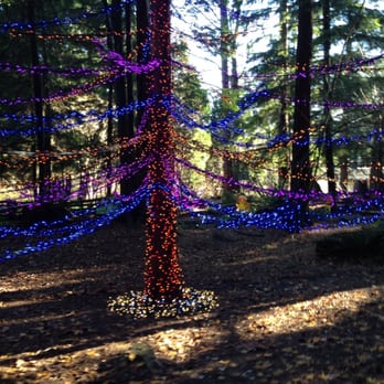Stanley Park - Parks Near Me - Vancouver, British Columbia Stanley Park - Parks Near Me - Vancouver, British Columbia