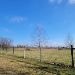 Heritage Trail Dog Park - Dog park