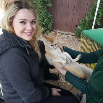 Wildlife Learning Center - Fennec fox - Zoos Near Me - Sylmar, California Wildlife Learning Center - Fennec fox - Zoos Near Me - Sylmar, California