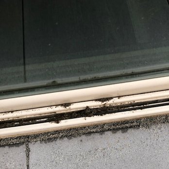 Install It Direct - polymeric sand in the sliding glass door tracks that was left for me to scrape out with a chisel - Landscaping Near Me - Encinitas, California