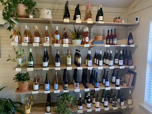 Cork & Screw by null