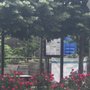Photo of Curtis 50 Cent Jackson Community Garden