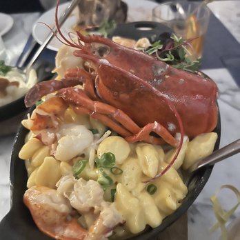 Wicked Butcher - Lobster Mac n Cheese - Bars Near Me - Fort Worth, Texas Wicked Butcher - Lobster Mac n Cheese - Bars Near Me - Fort Worth, Texas