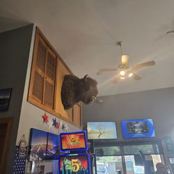 Cafe 191 - Inside Cafe