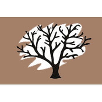 James Poyak DDS - Oral Surgeons Near Me - Scottsdale, Arizona James Poyak DDS - Oral Surgeons Near Me - Scottsdale, Arizona