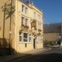 Photo of Golden Lion