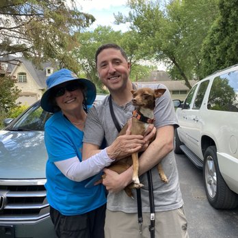 Border Tails Rescue - Another perfect match, thank you Border Tails - Pet Adoption Near Me - Northbrook, Illinois