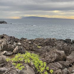 Kapalua Coastal Trail