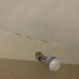 Some of the mold in the bathroom. Some of the mold in the bathroom.