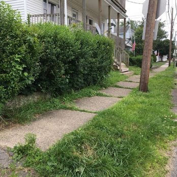 Lawn Love Lawn Care - My before pics...what we started with - Gardeners Near Me Lawn Love Lawn Care - My before pics...what we started with - Gardeners Near Me
