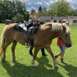 Carousel Acres
