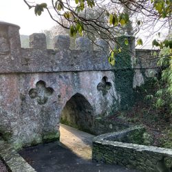 Tollymore Forest Park - Le parc.