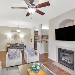 Ashford Place Apartment Homes - Living room with fireplace