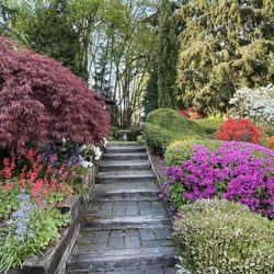 Green River Nursery