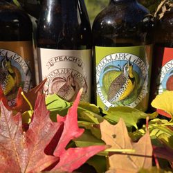 Meadowlark Farm