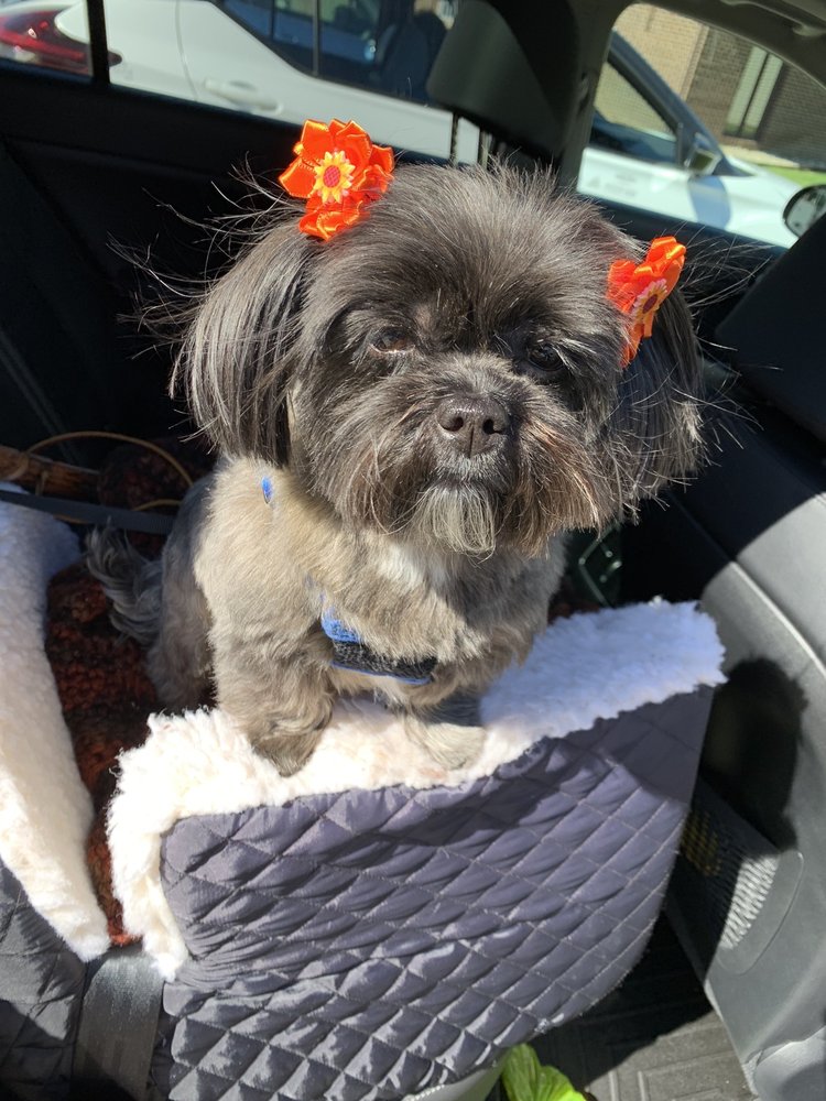 POTTER DRUG Updated September 2024 200 S 6th St, Petersburg