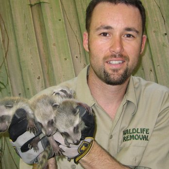 Wildlife Removal Lake County - Wildlife Control Near Me - Grayslake, Illinois Wildlife Removal Lake County - Wildlife Control Near Me - Grayslake, Illinois