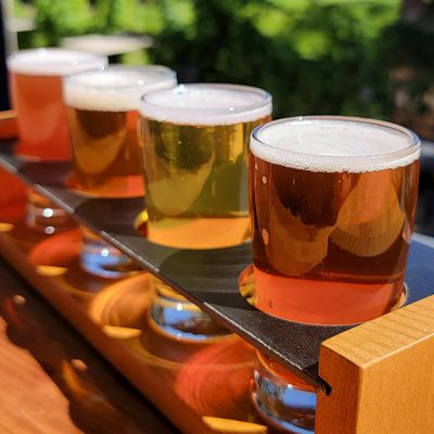 Boulder Social by null