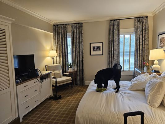Kimpton Taconic Hotel by null