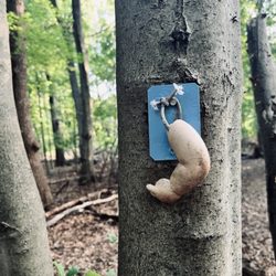 Losen Slote Creek Park - (Summer 2026)