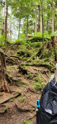 Totem Bight State Historical Park by null