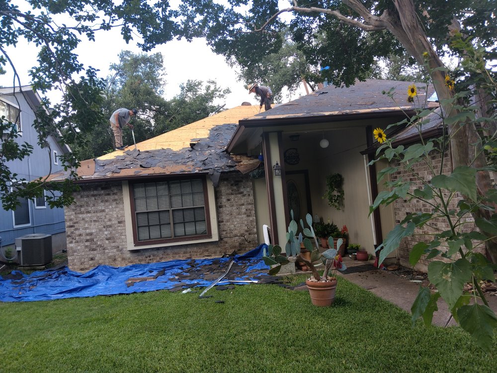 Slide of The Roof Goose