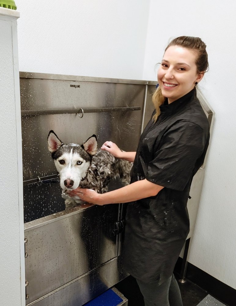 BUBBLE PAWS Updated October 2024 2108 W Algonquin Rd, Lake in the