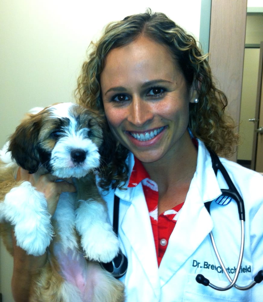 CRUTCHFIELD VETERINARIAN SERVICES Charlotte, North Carolina