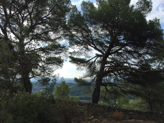 Carrières de Bibémus by null