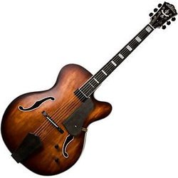 New washburn with case $799