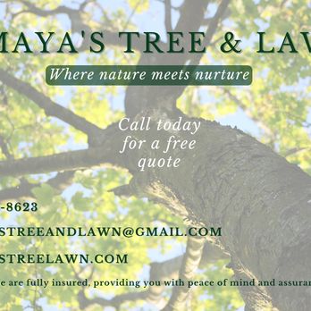 Amaya's Tree & Lawn - Scan the QR code to go directly to our website! - Tree Services Near Me Amaya's Tree & Lawn - Scan the QR code to go directly to our website! - Tree Services Near Me