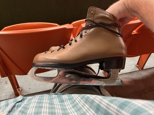 Snoopy's Home Ice by null