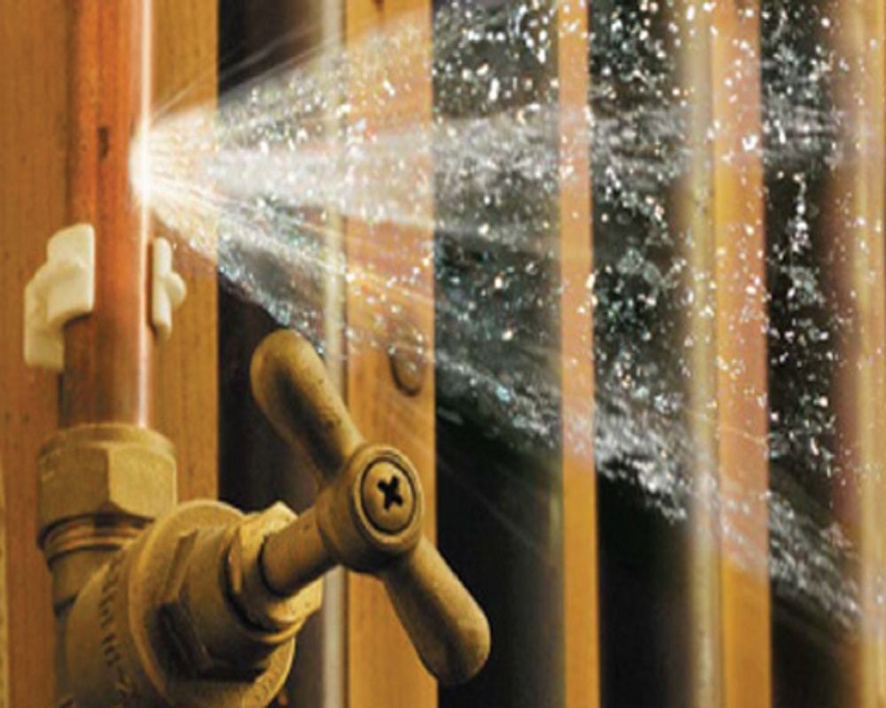 Slide of Rodolfo’s Drain Service