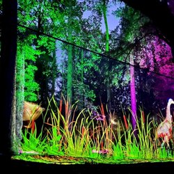 Enchanted Forest at Callaway Gardens - Magical Screen
