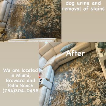 Max Deep Cleaning - Carpet Cleaning - Carpet Cleaning Near Me - Miami, Florida Max Deep Cleaning - Carpet Cleaning - Carpet Cleaning Near Me - Miami, Florida