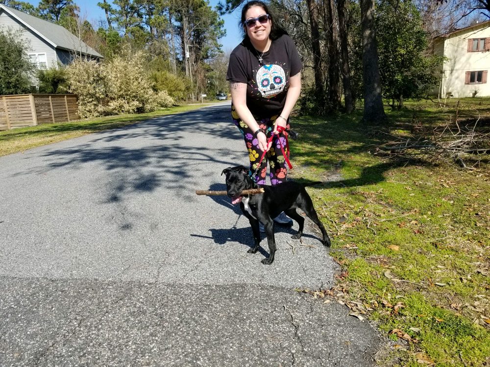 Cape Fear Pet Sitter Image