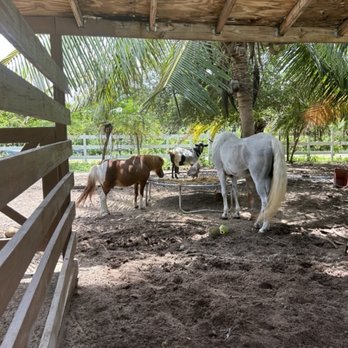 Blue Lagoon Farm Miami - Venues & Event Spaces Near Me - Homestead, Florida Blue Lagoon Farm Miami - Venues & Event Spaces Near Me - Homestead, Florida