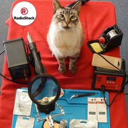 RadioShack - Not sure what Sonic has planned w/all our new soldering tools & access., but he's been checking his RC tank & collecting parts for hours.