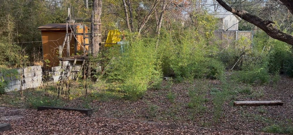 Grace Landscaping and Tree Service - tree service in Austin, TX