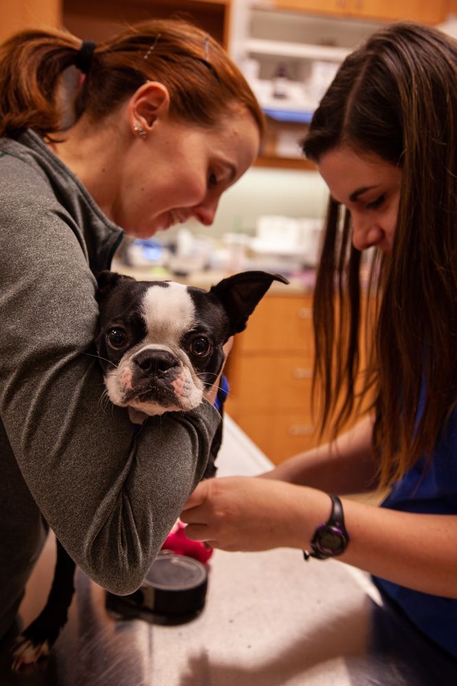 COMPLETE PET CARE ANIMAL HOSPITAL AT WAKE FOREST Updated September