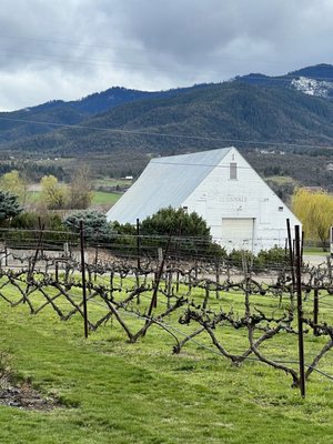 Edenvale Winery by null