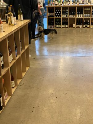 Silverlake Wine by null