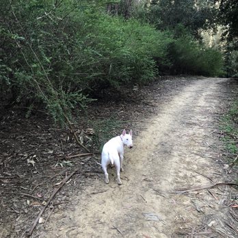 Anthony Chabot Regional Park - Parks Near Me - Castro Valley, California